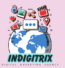 indigitrix.com